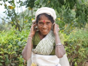 /Sri-lanka-Ella-local-scaled-W